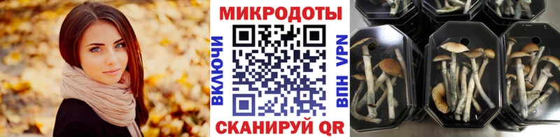 Галлюциногенные грибы Cubensis  Купить где  Партизанск 